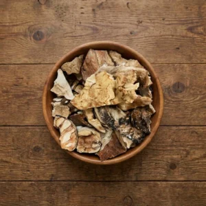 Dried Chicken Of The Woods Wild USA - Premium Quality