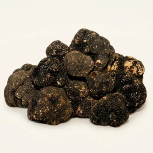 Fresh Black Summer Truffles - Premium Quality