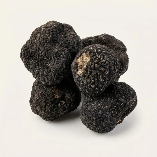 Fresh Black Winter Truffles -Perigords Fresh Black Winter Truffles -Perigords - Premium Quality