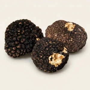 Fresh Burgundy Truffles - Premium Quality