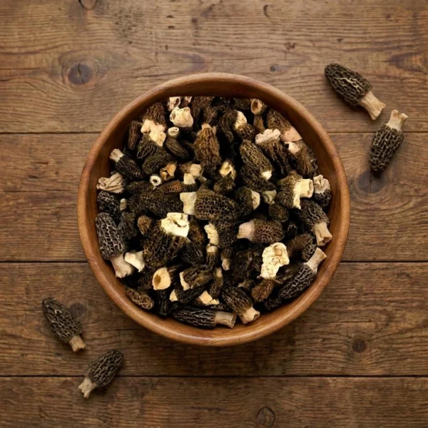 Fresh Conica Morels Fresh Conica Morels - Premium Quality
