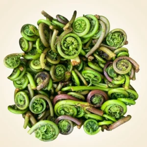 Fresh Fiddlehead Ferns Fresh Fiddlehead Ferns - Premium Quality