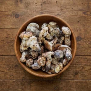Fresh Matsutake #2