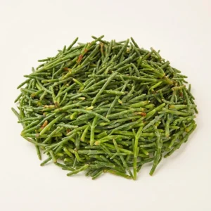 Fresh Sea Beans Fresh Sea Beans - Premium Quality