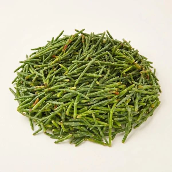 Fresh Sea Beans - Premium Quality