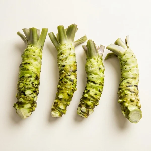 Fresh Wasabi Root Fresh Wasabi Root - Premium Quality