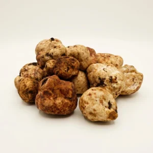 Fresh White Oregon Truffles - Premium Quality