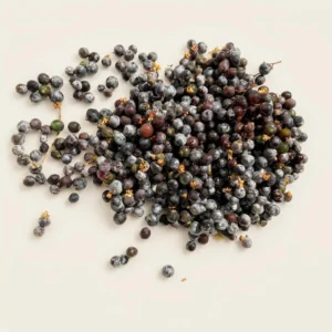 Frozen Elderberries - Premium Quality
