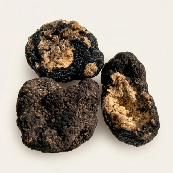 Frozen Oregon Black Truffles Frozen Oregon Black Truffles - Premium Quality