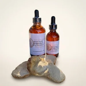 Lion's Mane Tincture-Extract Lion's Mane Tincture-Extract - Premium Quality