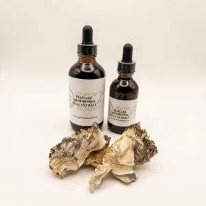 Maitake Tincture-Extract Maitake Tincture-Extract - Premium Quality