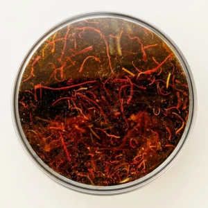 Spanish Saffron 1 Gram Spanish Saffron 1 Gram - Premium Quality