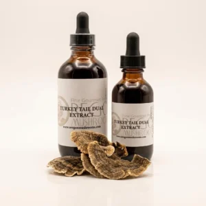Turkey Tail Tincture-Extract Turkey Tail Tincture-Extract - Premium Quality