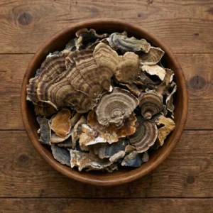 Wild-Turkey-Tail-Mushrooms Dried Turkey Tail Mushrooms Wild USA